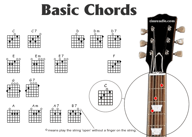Basic Guitar Chords
